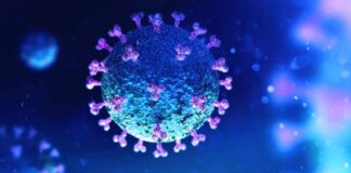Bilim insanlarından korkutan koronavirüs uyarıs